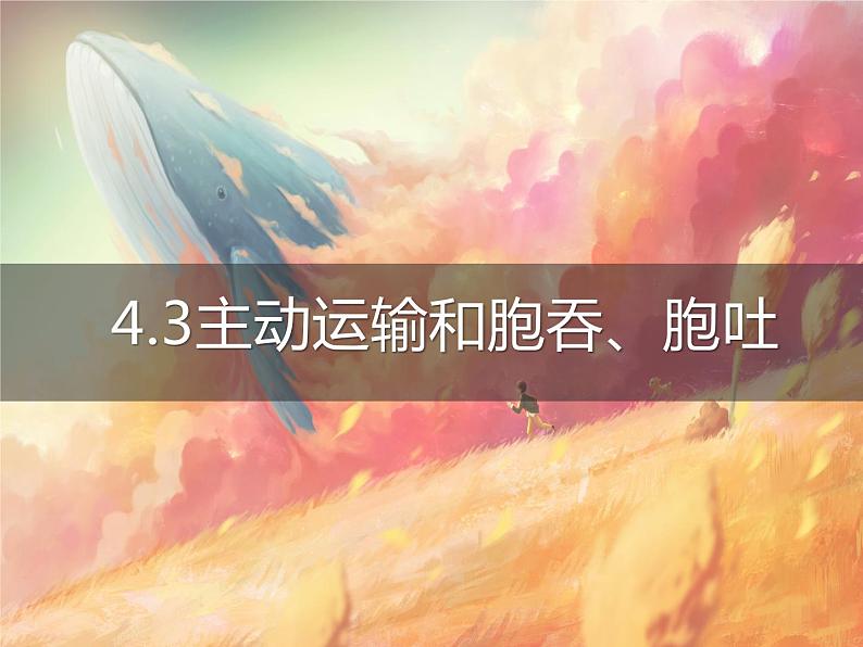 4.3.2 主动运输和胞吞、胞吐课件PPT第1页