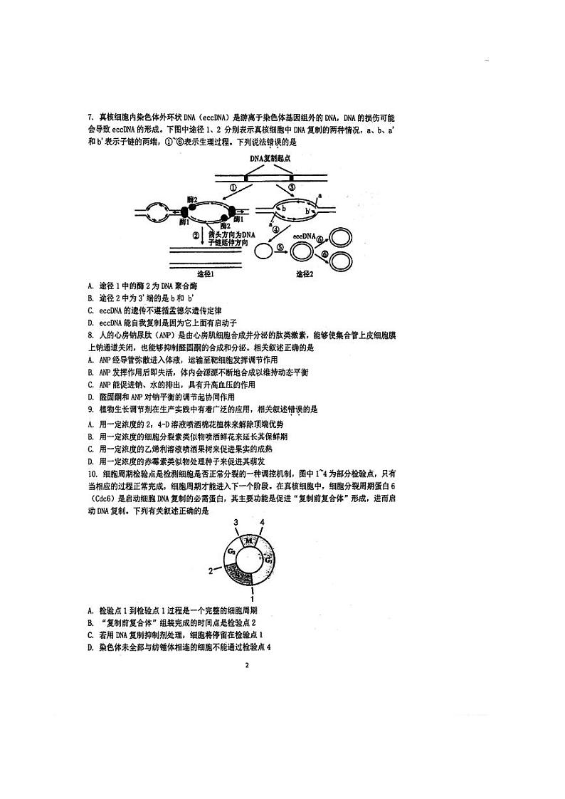 江苏省泰州2024届高三第一次质量检测生物试卷+答案02