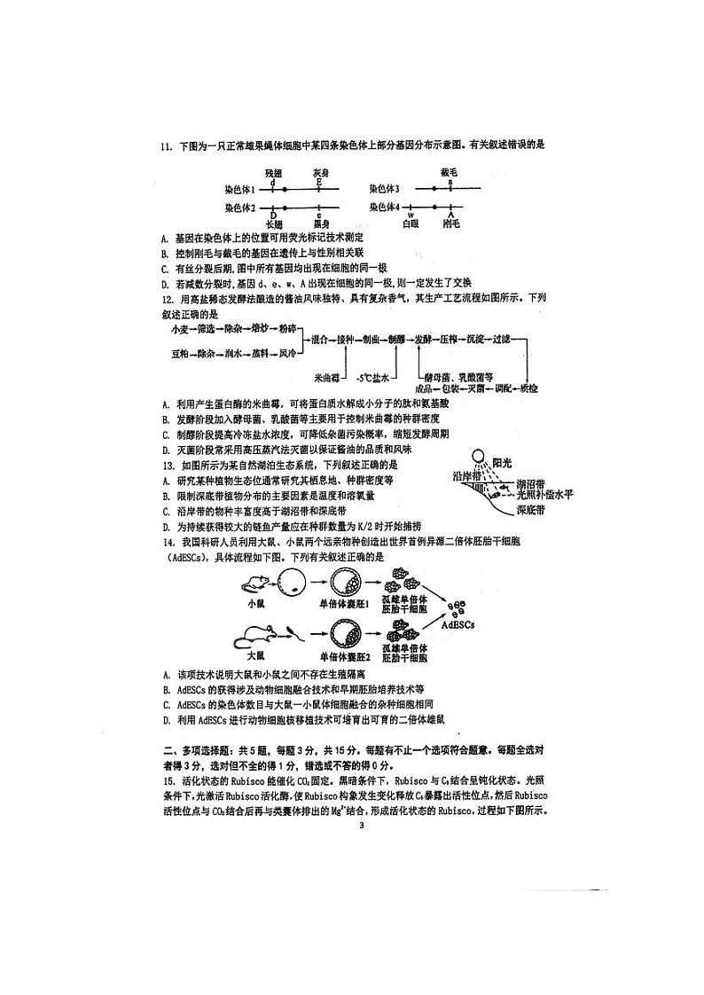 江苏省泰州2024届高三第一次质量检测生物试卷+答案03
