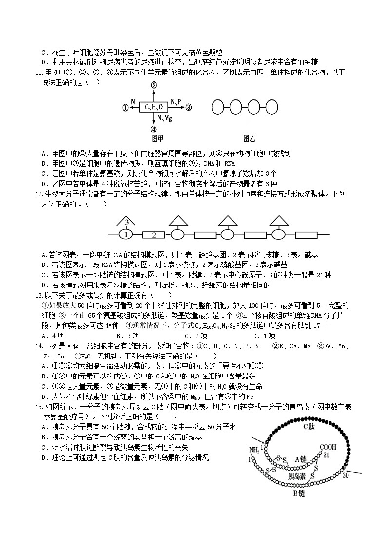 广东省东莞市东华高级中学等校2023-2024学年高一上学期10月联考生物试题（月考）03