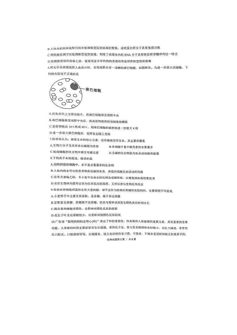 山东省枣庄市实验高中（市直属）2023-2024学年高一上学期10月第一次月考监测生物试题（月考）02