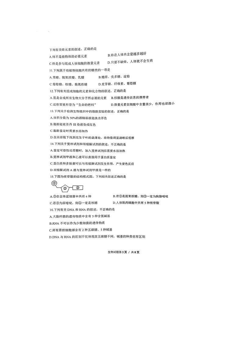 山东省枣庄市实验高中（市直属）2023-2024学年高一上学期10月第一次月考监测生物试题（月考）03