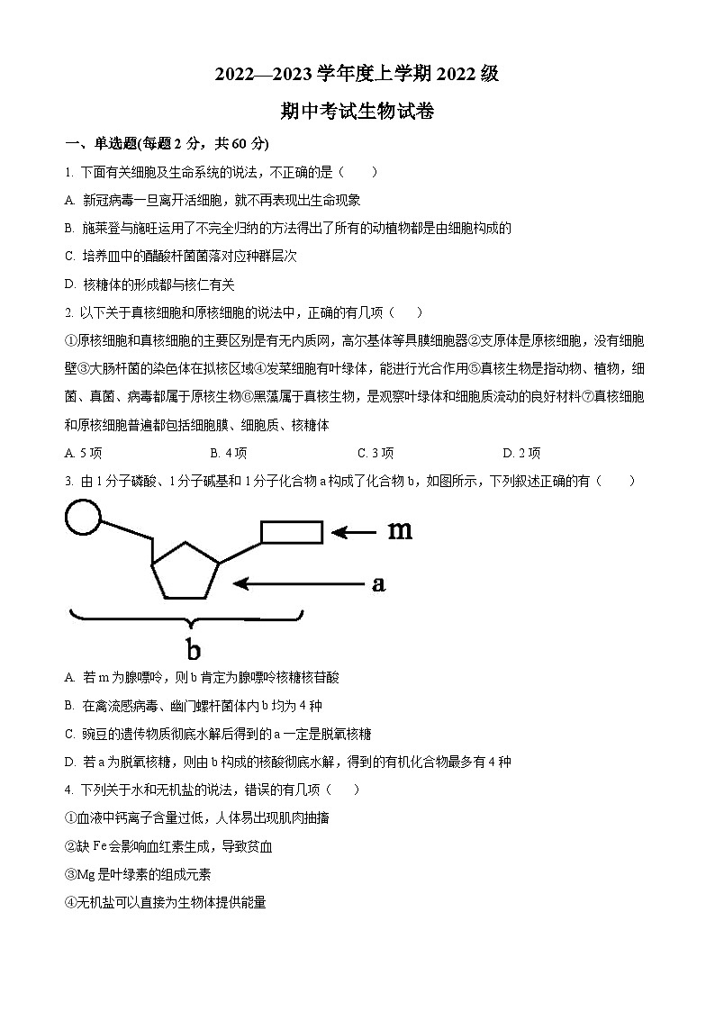 2023荆州沙中学高一上学期11月期中生物试题含解析01