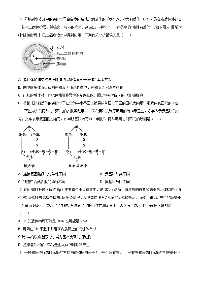 2023荆州沙中学高一上学期11月期中生物试题含解析03