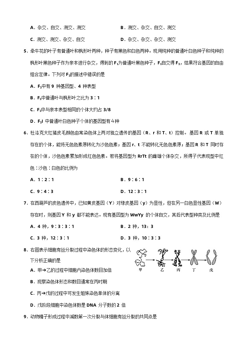 2024湖南师大附中高一上学期第一次大练习生物含解析02