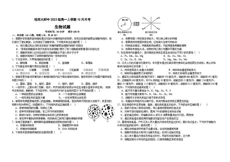 2024省哈尔滨师大附中高一上学期10月月考试题生物含答案第1页
