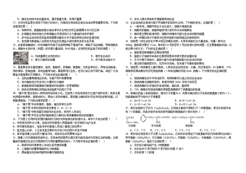 2024省哈尔滨师大附中高一上学期10月月考试题生物含答案第3页