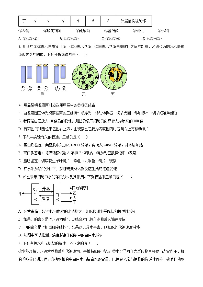 2024长春十一中等四校高一上学期10月联考试题生物无答案第2页