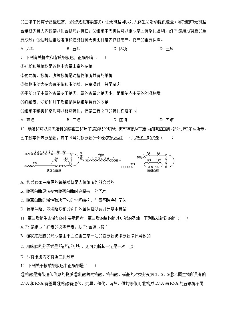 2024长春十一中等四校高一上学期10月联考试题生物无答案第3页