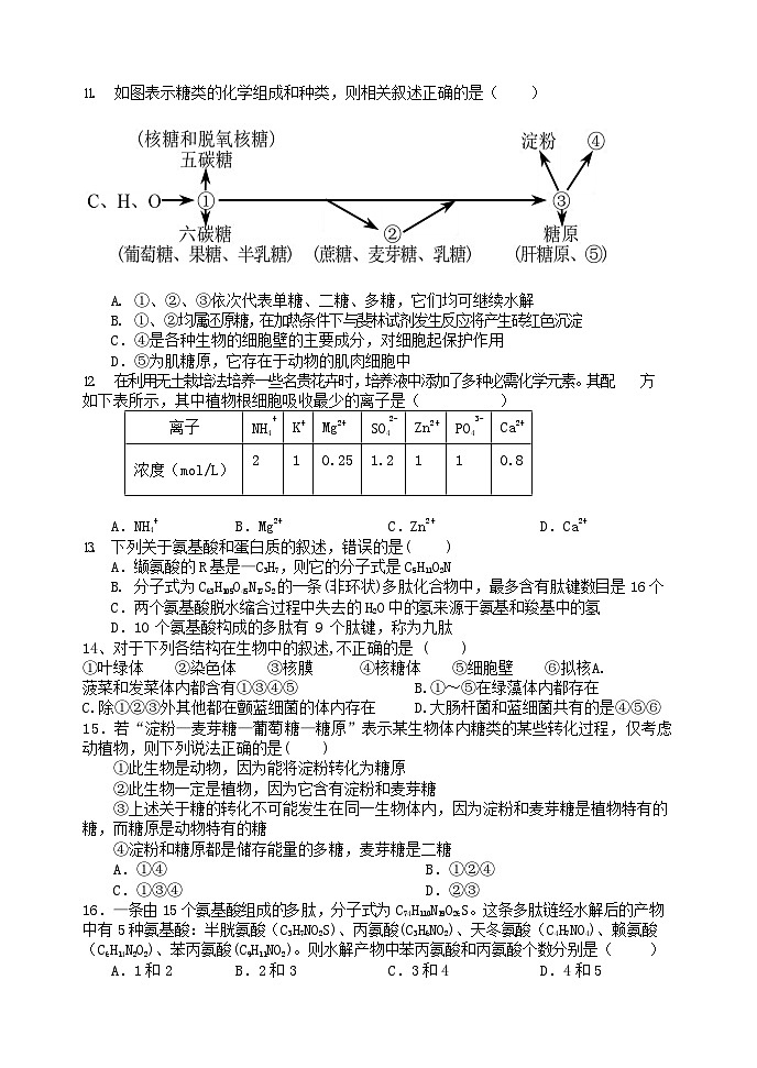 2024辽宁省滨城高中联盟高一上学期10月月考试题生物含答案03
