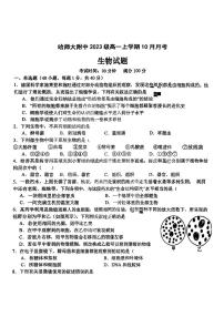 哈尔滨师大附中2023-2024学年高一10月月考生物试卷含答案解析