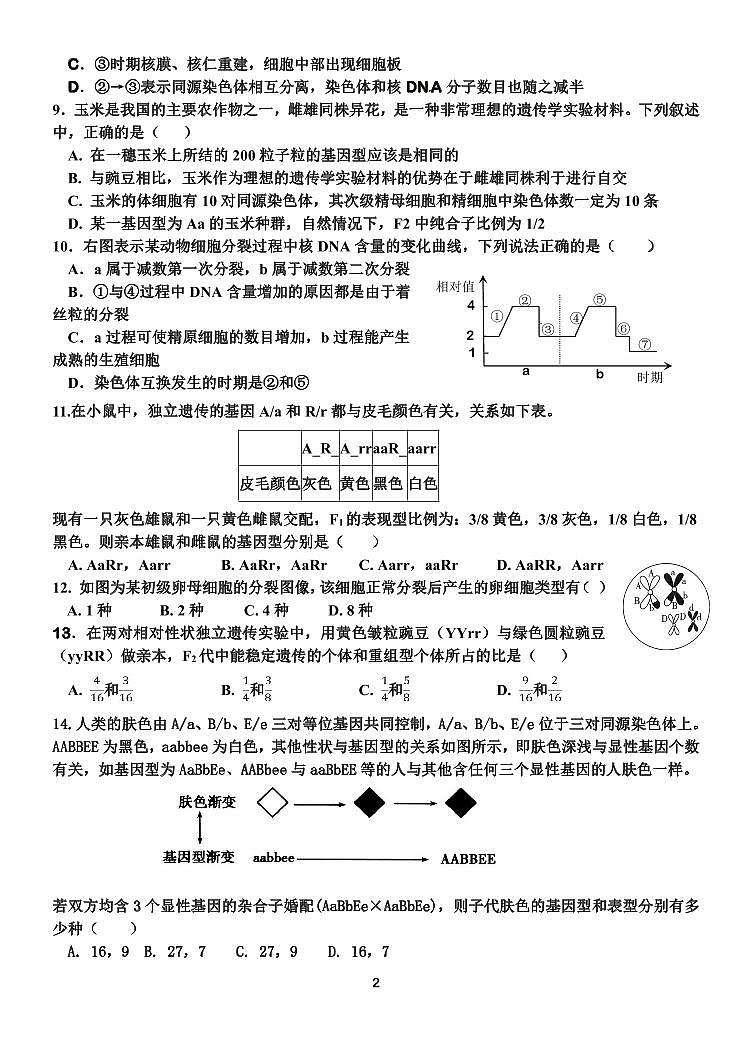 天津市滨海新区大港第一中学2023-2024学年高三上学期第一次月考生物试题（无答案）02