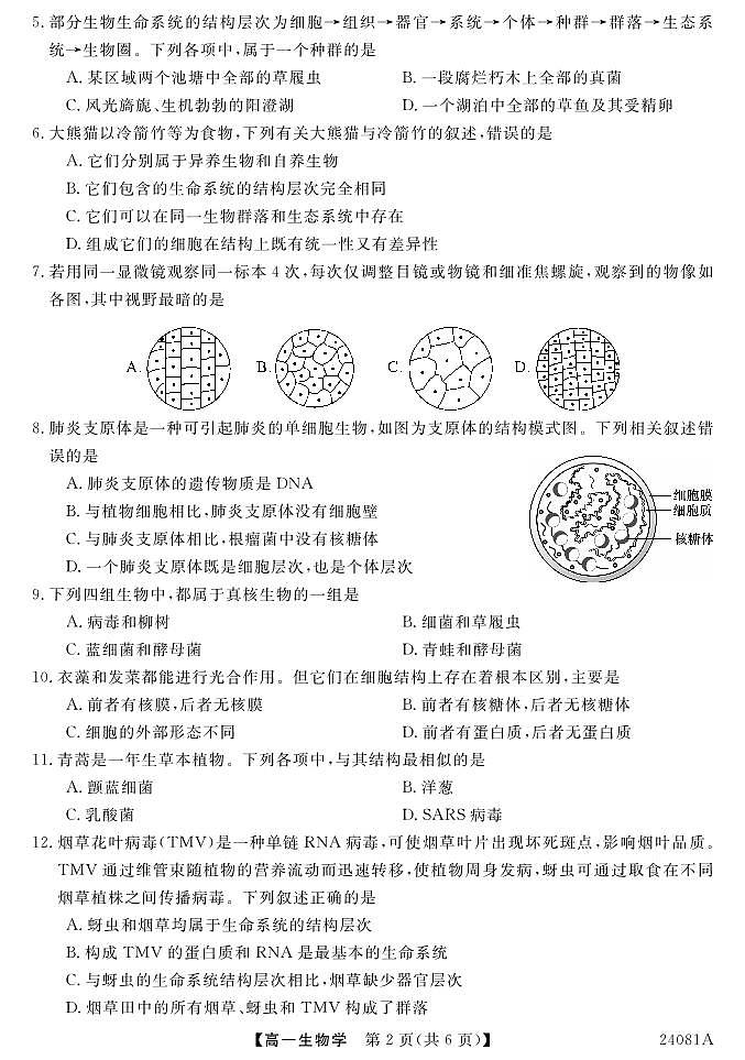 安徽省阜阳三中2023-2024学年高一年级第一学期一调考试生物02