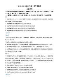 山西省大同市第一中学校2023-2024学年高三上学期10月月考生物试题+Word版含解析