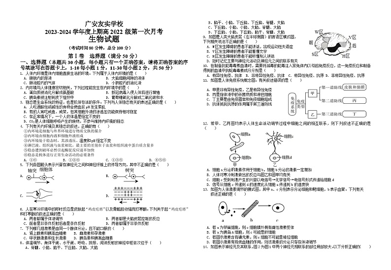 四川省广安市友谊中学实验学校2023-2024学年高二上学期10月月考生物试题01