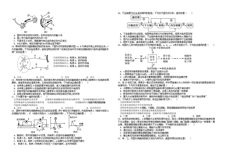 四川省广安市友谊中学实验学校2023-2024学年高二上学期10月月考生物试题02