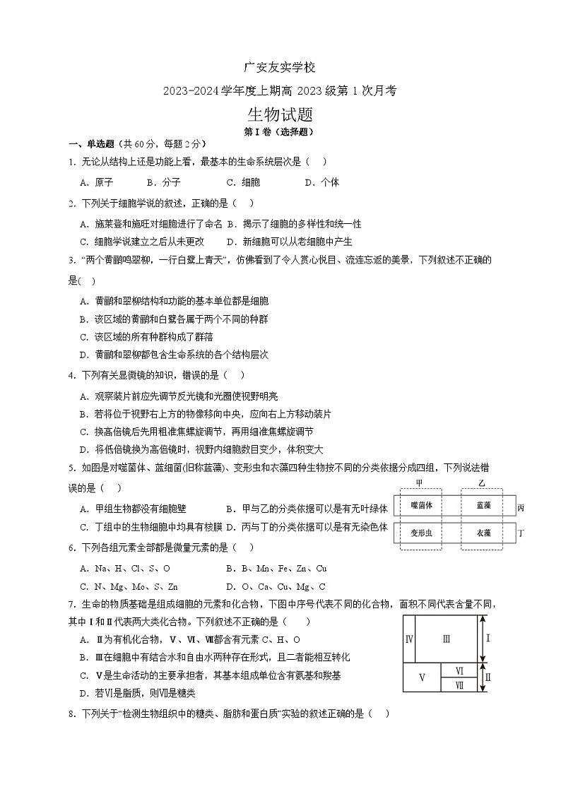 四川省广安市友谊中学实验学校2023-2024学年高一上学期10月月考生物试题01