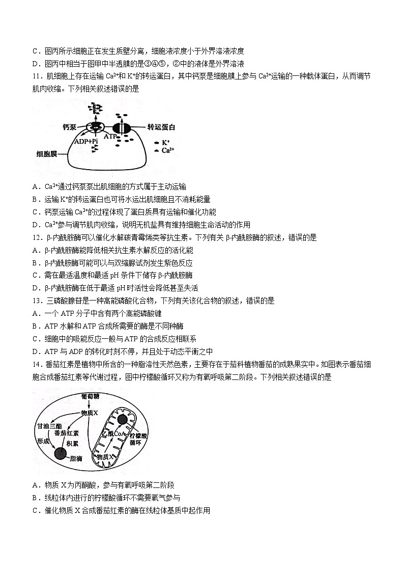 2024届陕西省安康市重点名校高三10月联考生物试题及参考答案03