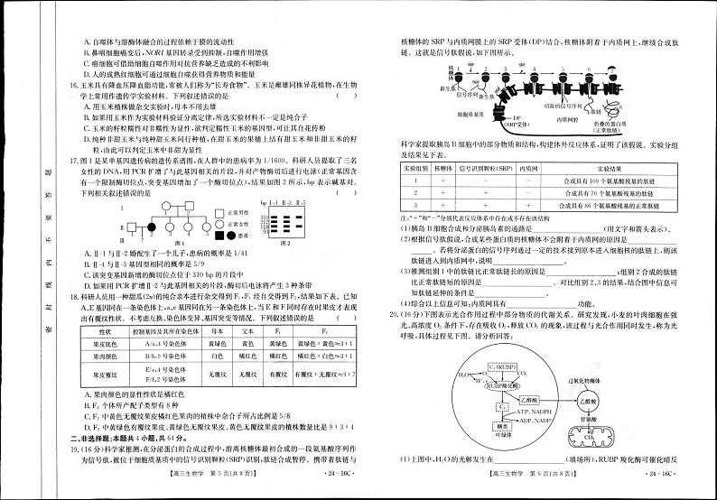 湖北省部分学校2023-2024学年高三生物上学期10月月考试题（PDF版附答案）第3页