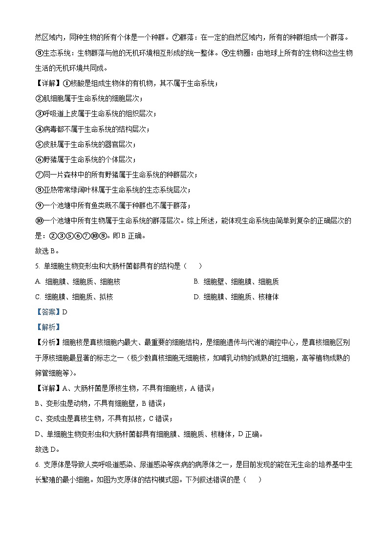 四川省成都市第七中学2023-2024学年高一生物上学期10月月考试题（Word版附解析）03