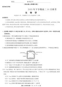 天壹名校联盟湖湘名校联合体2023-2024学年高二上学期10月月考生物试卷及参考答案