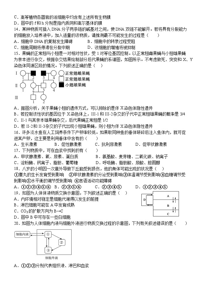 黑龙江省海林市朝鲜族中学2023-2024学年高二上学期第一次月考生物试卷第3页
