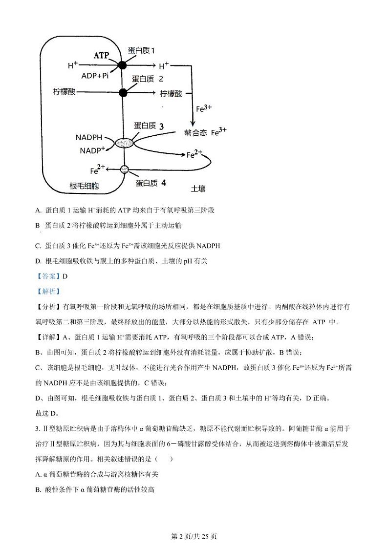 江苏省常州市联盟学校2024届高三上学期10月学情调研 生物答案第2页