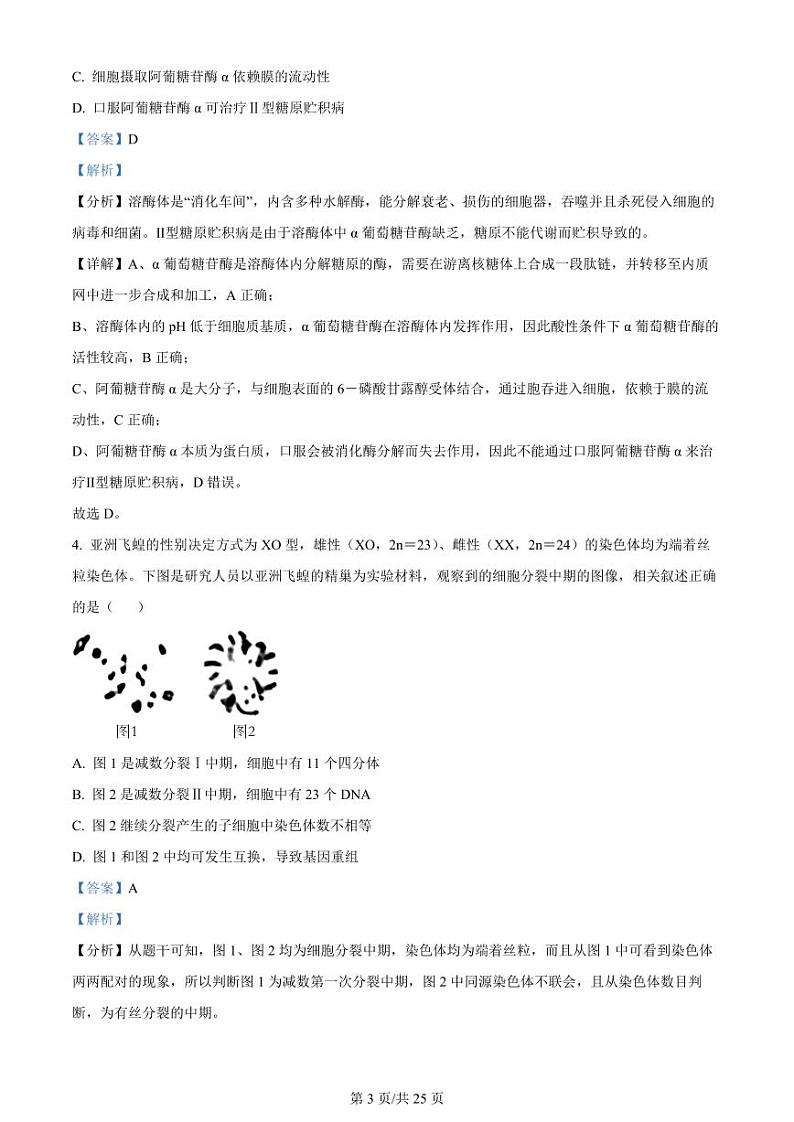 江苏省常州市联盟学校2024届高三上学期10月学情调研 生物答案第3页