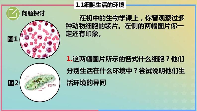 2023_2024学年同步备课精选高中生物1.1细胞生活的环境课件新人教版选择性必修1第4页