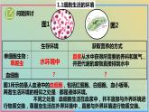 2023_2024学年同步备课精选高中生物1.1细胞生活的环境课件新人教版选择性必修1