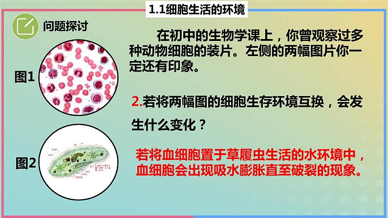 2023_2024学年同步备课精选高中生物1.1细胞生活的环境课件新人教版选择性必修1第6页