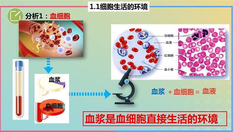 2023_2024学年同步备课精选高中生物1.1细胞生活的环境课件新人教版选择性必修1第8页