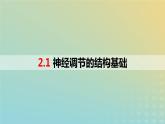 2023_2024学年同步备课精选高中生物2.1神经调节的结构基础课件新人教版选择性必修1