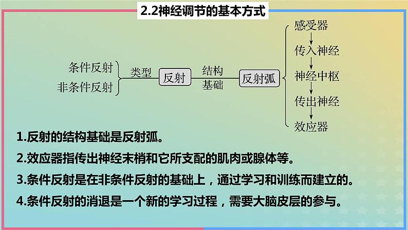 2023_2024学年同步备课精选高中生物2.2神经调节的基本方式课件新人教版选择性必修1第3页