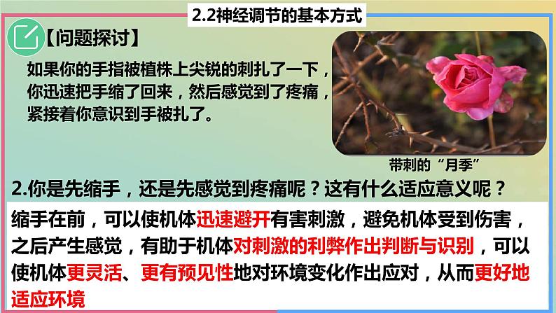 2023_2024学年同步备课精选高中生物2.2神经调节的基本方式课件新人教版选择性必修1第5页