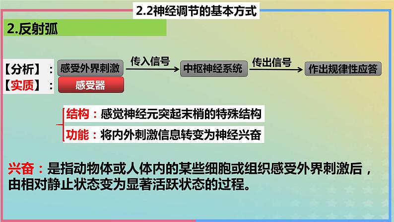 2023_2024学年同步备课精选高中生物2.2神经调节的基本方式课件新人教版选择性必修1第8页