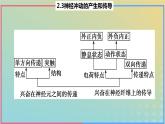 2023_2024学年同步备课精选高中生物2.3神经冲动的产生与传导第1课时课件新人教版选择性必修1