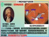 2023_2024学年同步备课精选高中生物2.3神经冲动的产生与传导第1课时课件新人教版选择性必修1