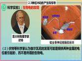 2023_2024学年同步备课精选高中生物2.3神经冲动的产生与传导第1课时课件新人教版选择性必修1