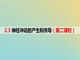 2023_2024学年同步备课精选高中生物2.3神经冲动的产生与传导第2课时课件新人教版选择性必修1