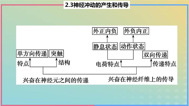 2023_2024学年同步备课精选高中生物2.3神经冲动的产生与传导第2课时课件新人教版选择性必修103