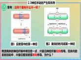 2023_2024学年同步备课精选高中生物2.3神经冲动的产生与传导第2课时课件新人教版选择性必修1