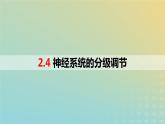 2023_2024学年同步备课精选高中生物2.4神经系统的分级调节课件新人教版选择性必修1