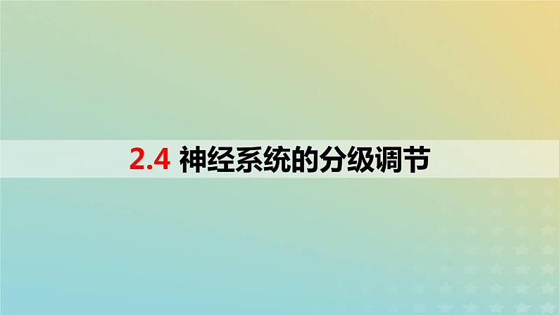 2023_2024学年同步备课精选高中生物2.4神经系统的分级调节课件新人教版选择性必修1第1页