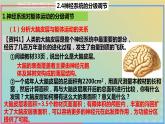 2023_2024学年同步备课精选高中生物2.4神经系统的分级调节课件新人教版选择性必修1