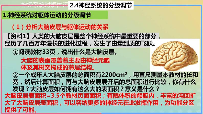 2023_2024学年同步备课精选高中生物2.4神经系统的分级调节课件新人教版选择性必修1第5页