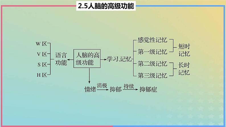 2023_2024学年同步备课精选高中生物2.5人脑的高级功能课件新人教版选择性必修1第3页