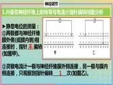 2023_2024学年同步备课精选高中生物第2章微专题之电位变化课件新人教版选择性必修1