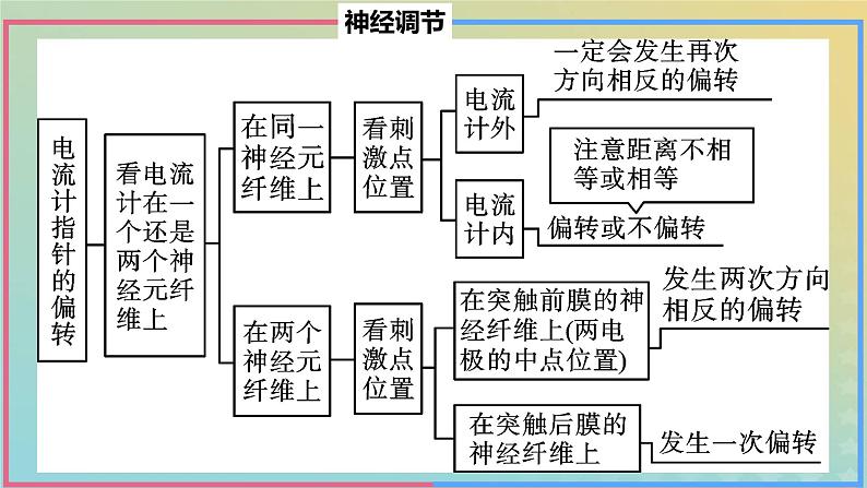 2023_2024学年同步备课精选高中生物第2章微专题之电位变化课件新人教版选择性必修1第6页