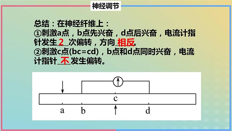 2023_2024学年同步备课精选高中生物第2章微专题之电位变化课件新人教版选择性必修1第7页